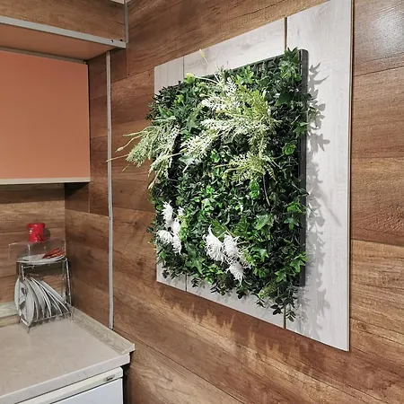 Apartmán Urban Life Style Zaječar